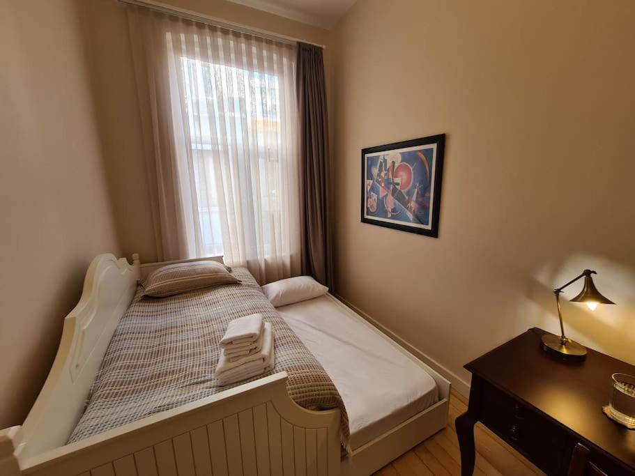 Elegant, Spacious, Quiet 3br Near Historic Center Daire